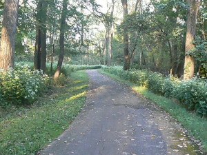 forest preserve